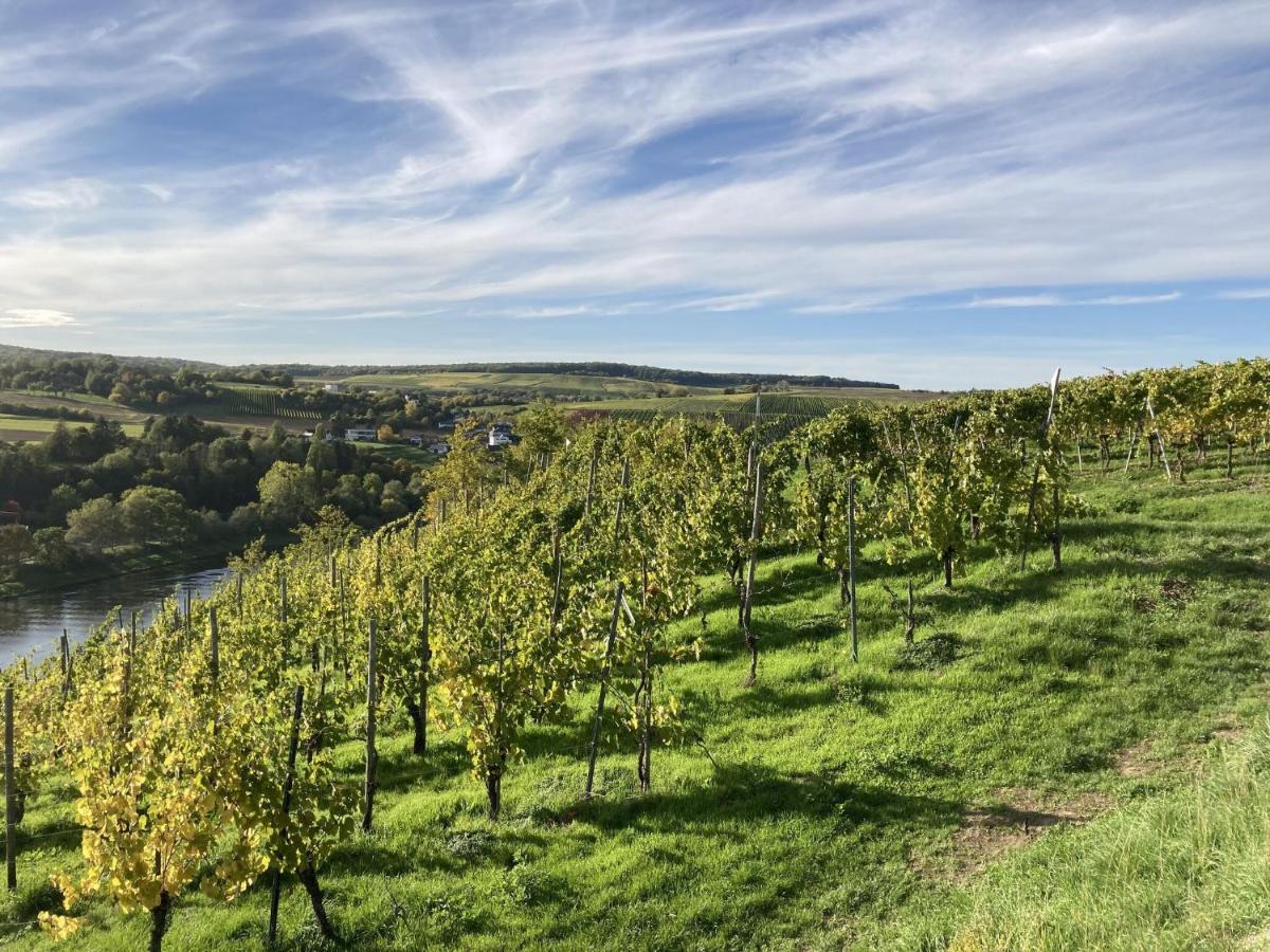 Holiday Apartment Near The Moselle With Terrace Wehr  Luaran gambar